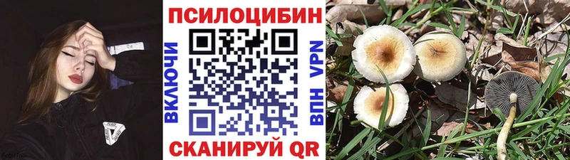 Купить  Муром  Псилоцибиновые грибы ЛСД
